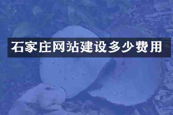 石家庄网站建设多少费用
