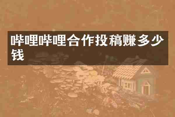 哔哩哔哩合作投稿赚多少钱