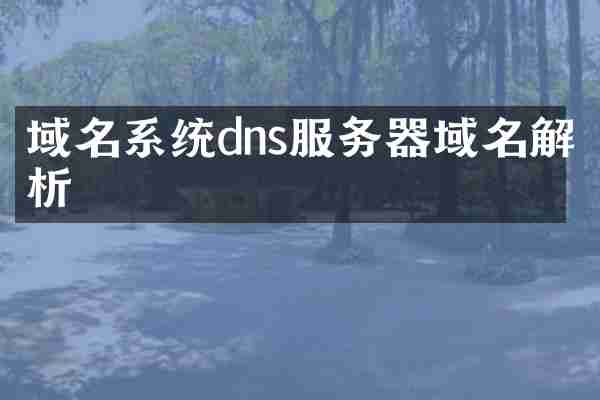 域名系统dns服务器域名解析