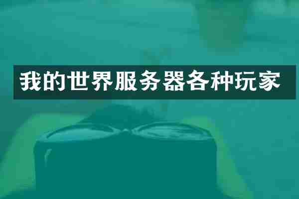 我的世界服务器各种玩家