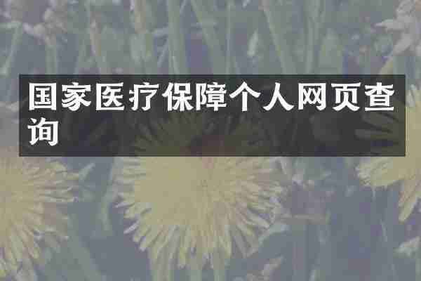 国家医疗保障个人网页查询