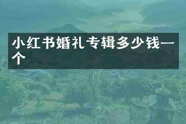 小红书婚礼专辑多少钱一个