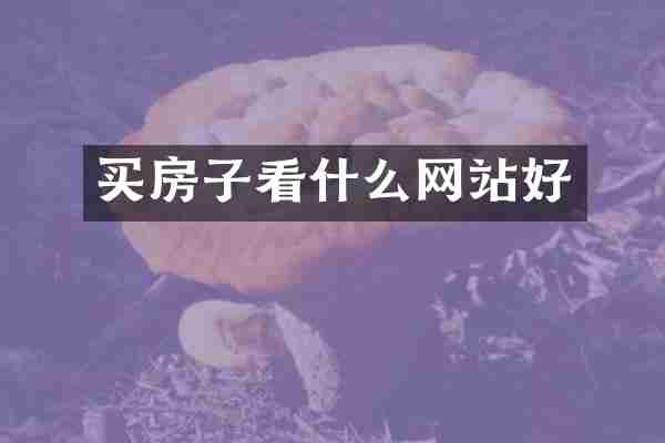 买房子看什么网站好