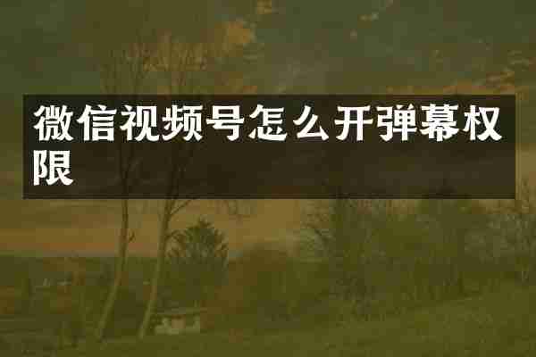 微信视频号怎么开弹幕权限