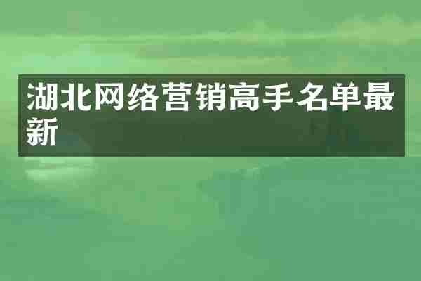 湖北网络营销高手名单最新