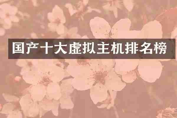 国产十大虚拟主机排名榜