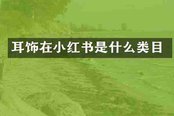 耳饰在小红书是什么类目