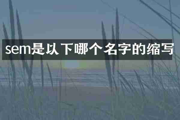 sem是以下哪个名字的缩写