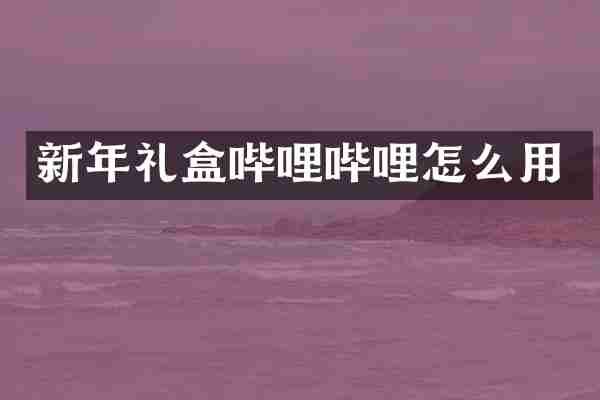 新年礼盒哔哩哔哩怎么用