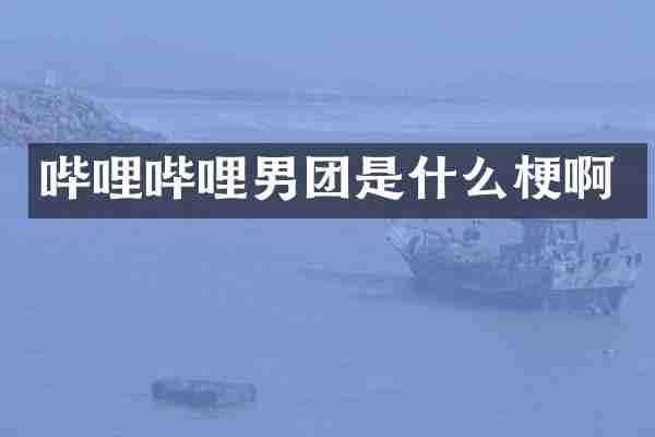 哔哩哔哩男团是什么梗啊
