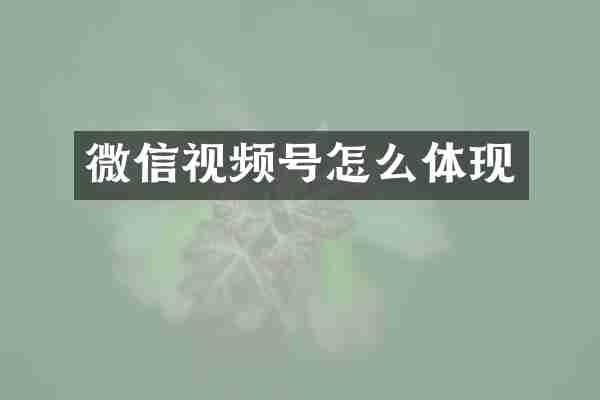 微信视频号怎么体现