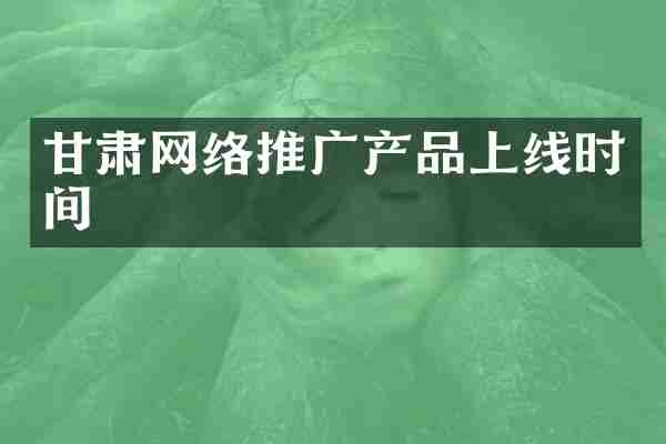 甘肃网络推广产品上线时间