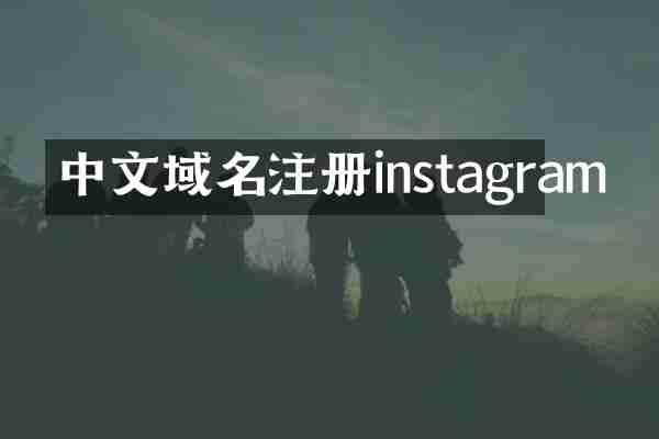中文域名注册instagram