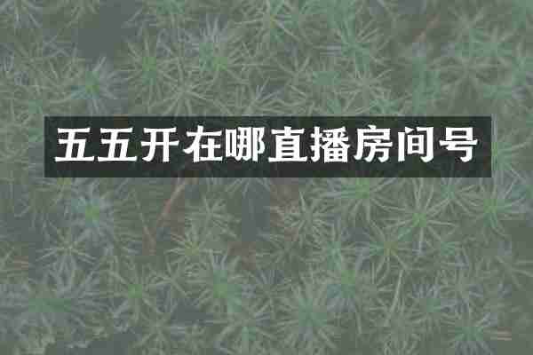 五五开在哪直播房间号