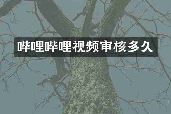哔哩哔哩视频审核多久