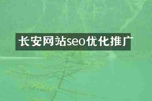 长安网站seo优化推广