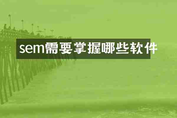 sem需要掌握哪些软件
