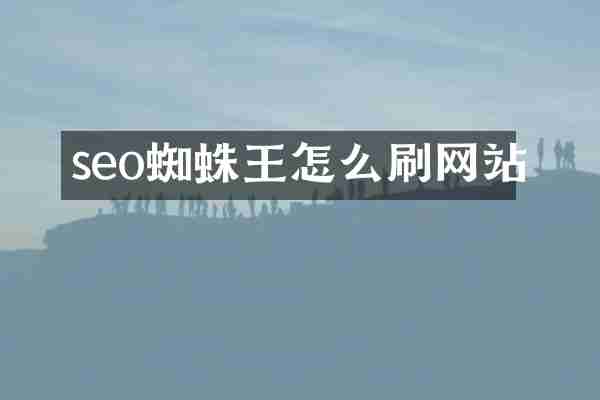 seo蜘蛛王怎么刷网站