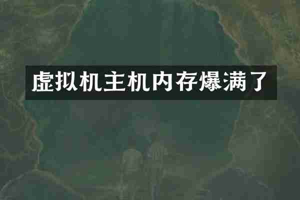虚拟机主机内存爆满了