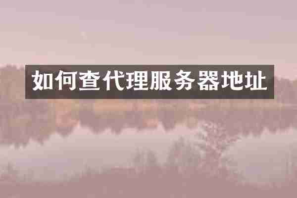 如何查代理服务器地址