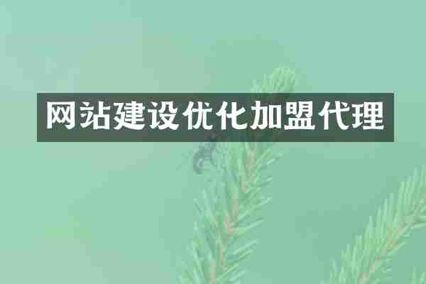 网站建设优化加盟代理