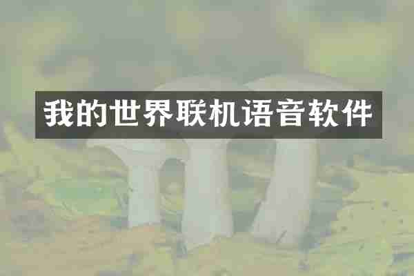 我的世界联机语音软件