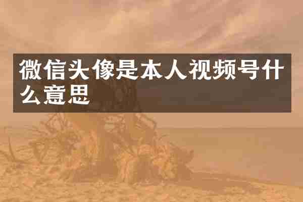 微信头像是本人视频号什么意思