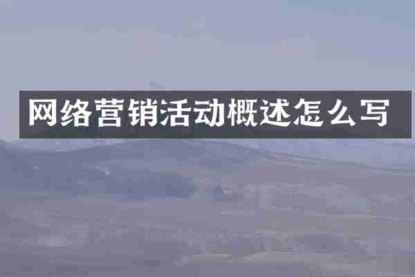 网络营销活动概述怎么写