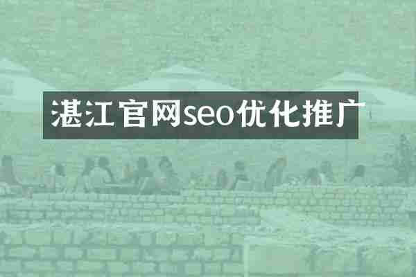 湛江官网seo优化推广