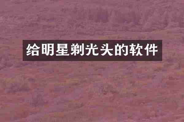 给明星剃光头的软件