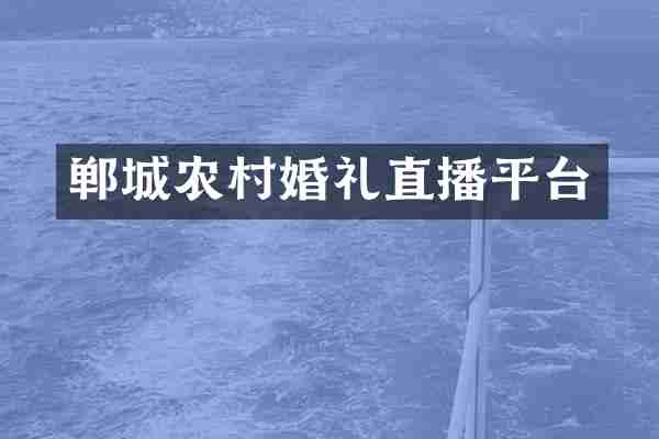 郸城农村婚礼直播平台