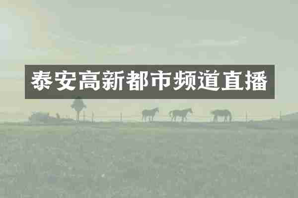 泰安高新都市频道直播