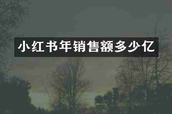 小红书年销售额多少亿