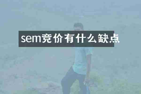sem竞价有什么缺点