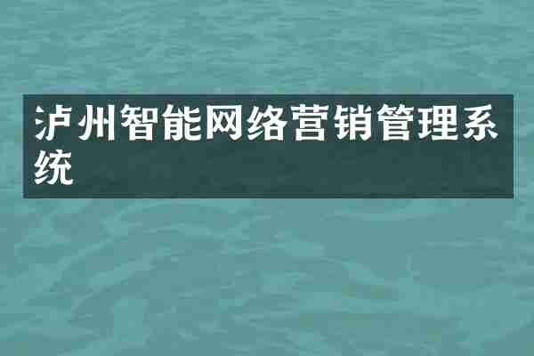泸州智能网络营销管理系统