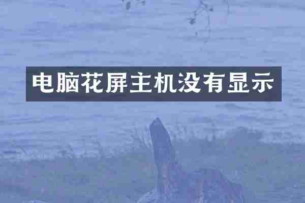 电脑花屏主机没有显示