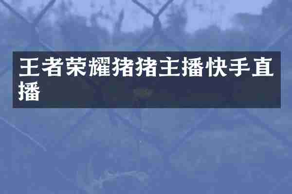 王者荣耀猪猪主播快手直播