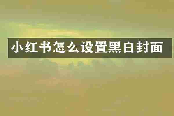 小红书怎么设置黑白封面