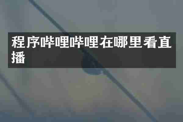 程序哔哩哔哩在哪里看直播