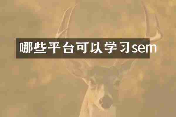 哪些平台可以学习sem