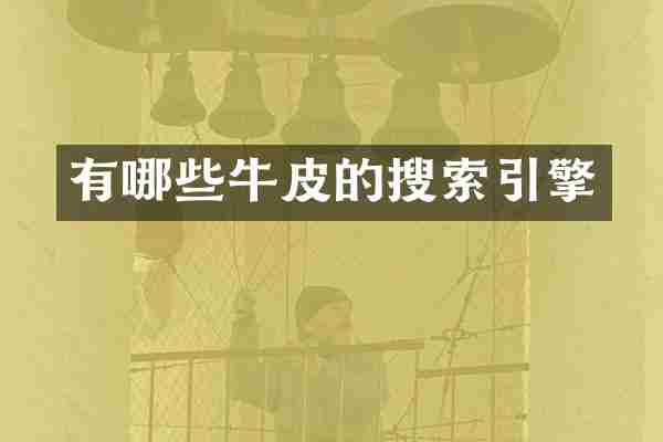 有哪些牛皮的搜索引擎