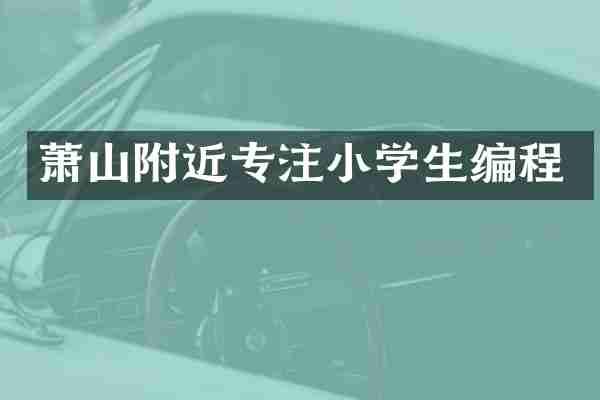 萧山附近专注小学生编程