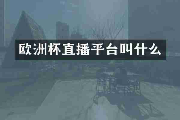 欧洲杯直播平台叫什么