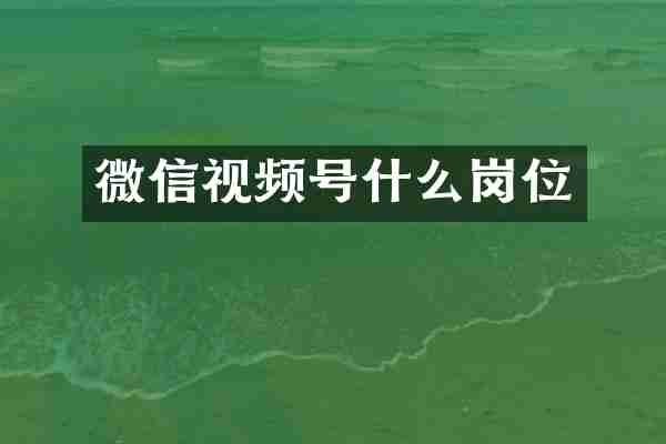 微信视频号什么岗位