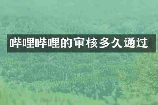 哔哩哔哩的审核多久通过
