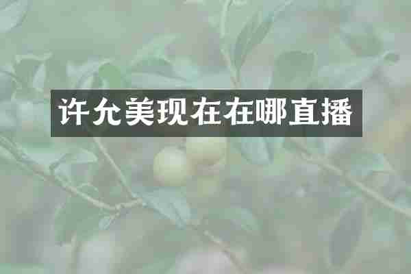 许允美现在在哪直播