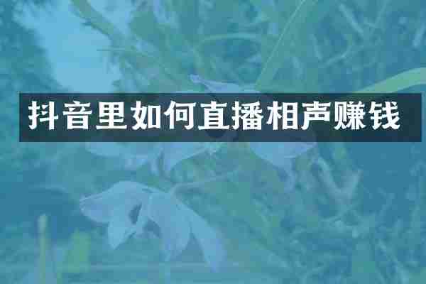 抖音里如何直播相声赚钱