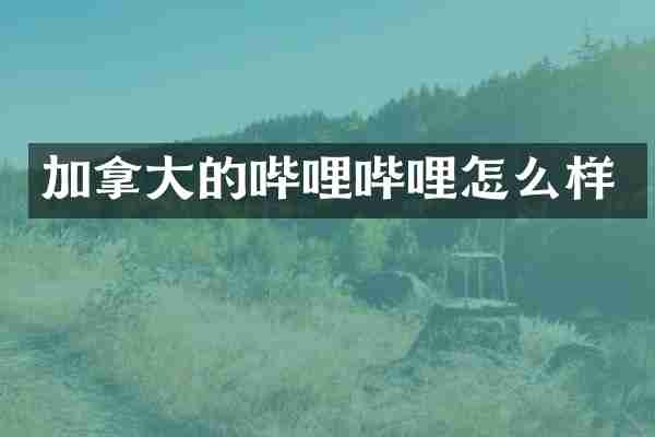加拿大的哔哩哔哩怎么样