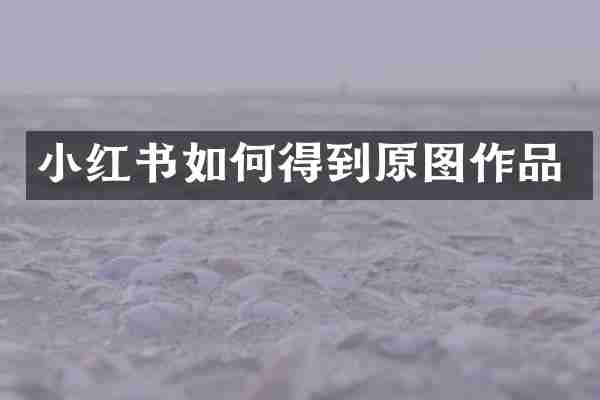小红书如何得到原图作品