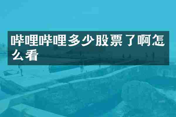哔哩哔哩多少股票了啊怎么看